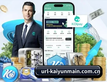 开云体育入口 APP 深度功能